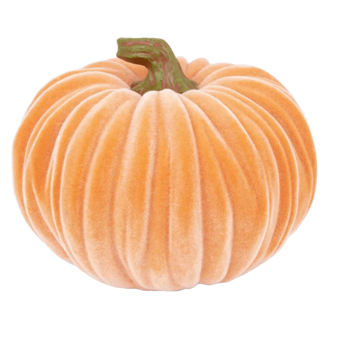 6.5 Velvet Pumpkin Orange