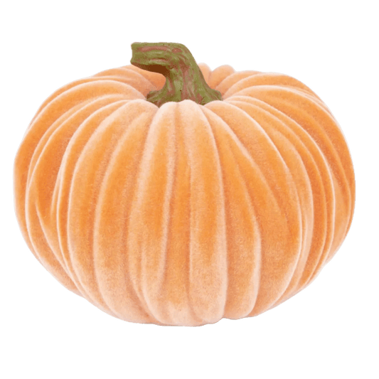 6.5 Velvet Pumpkin Orange