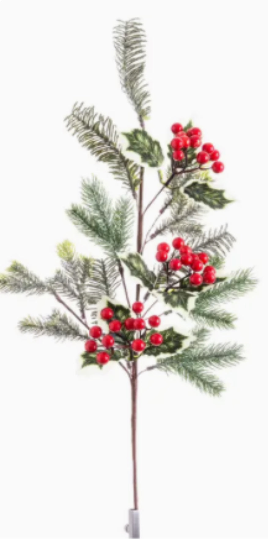 Pine Branch with Red Berries and Holly Leaves Greenery