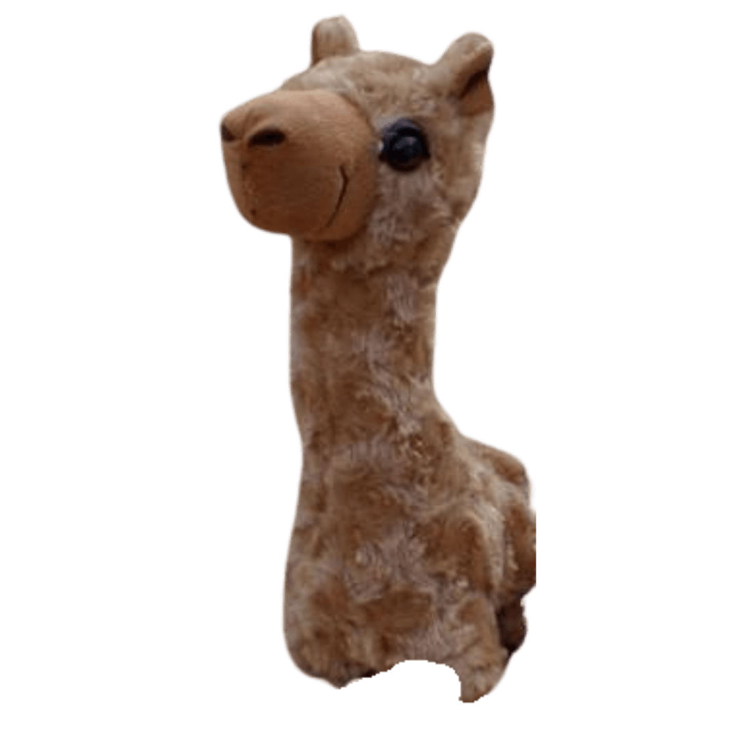 Paca Buddies