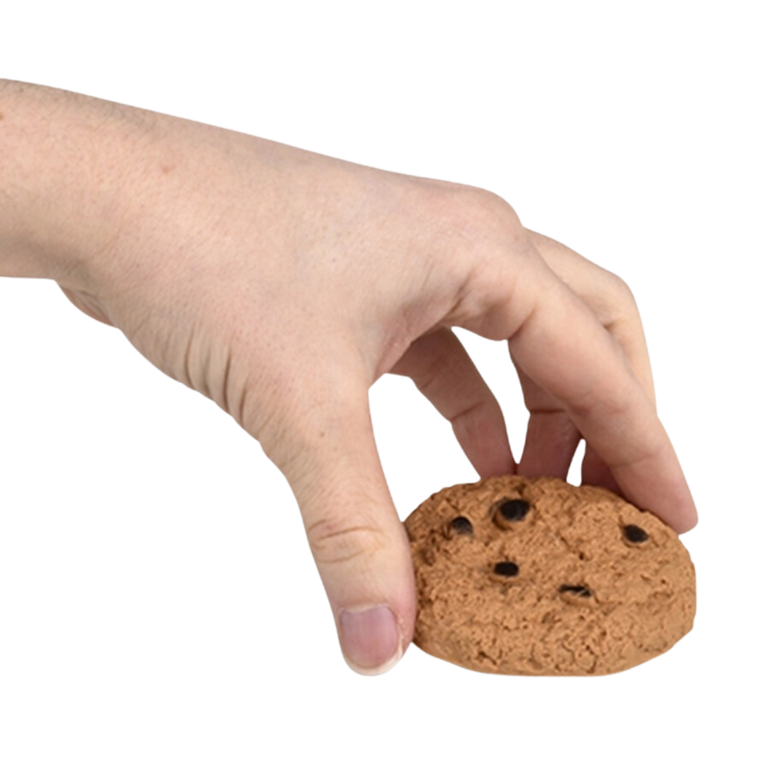 Cookie Suprise Bug Prank