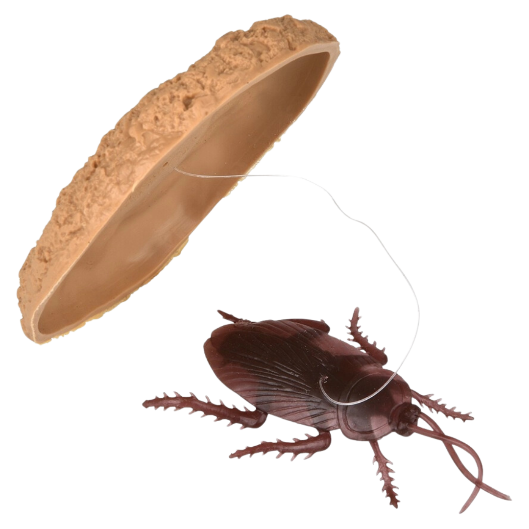 Cookie Suprise Bug Prank