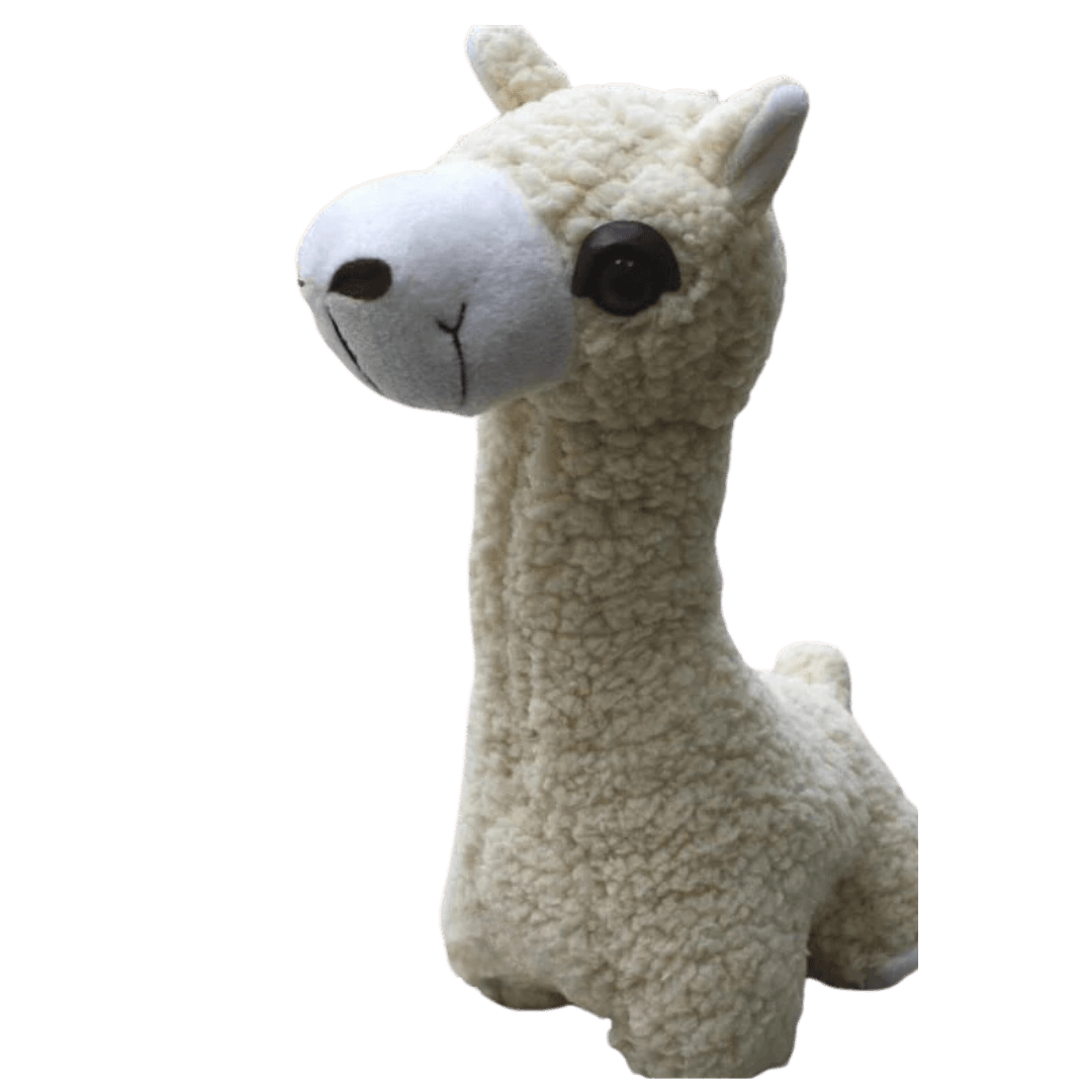 Paca Buddies