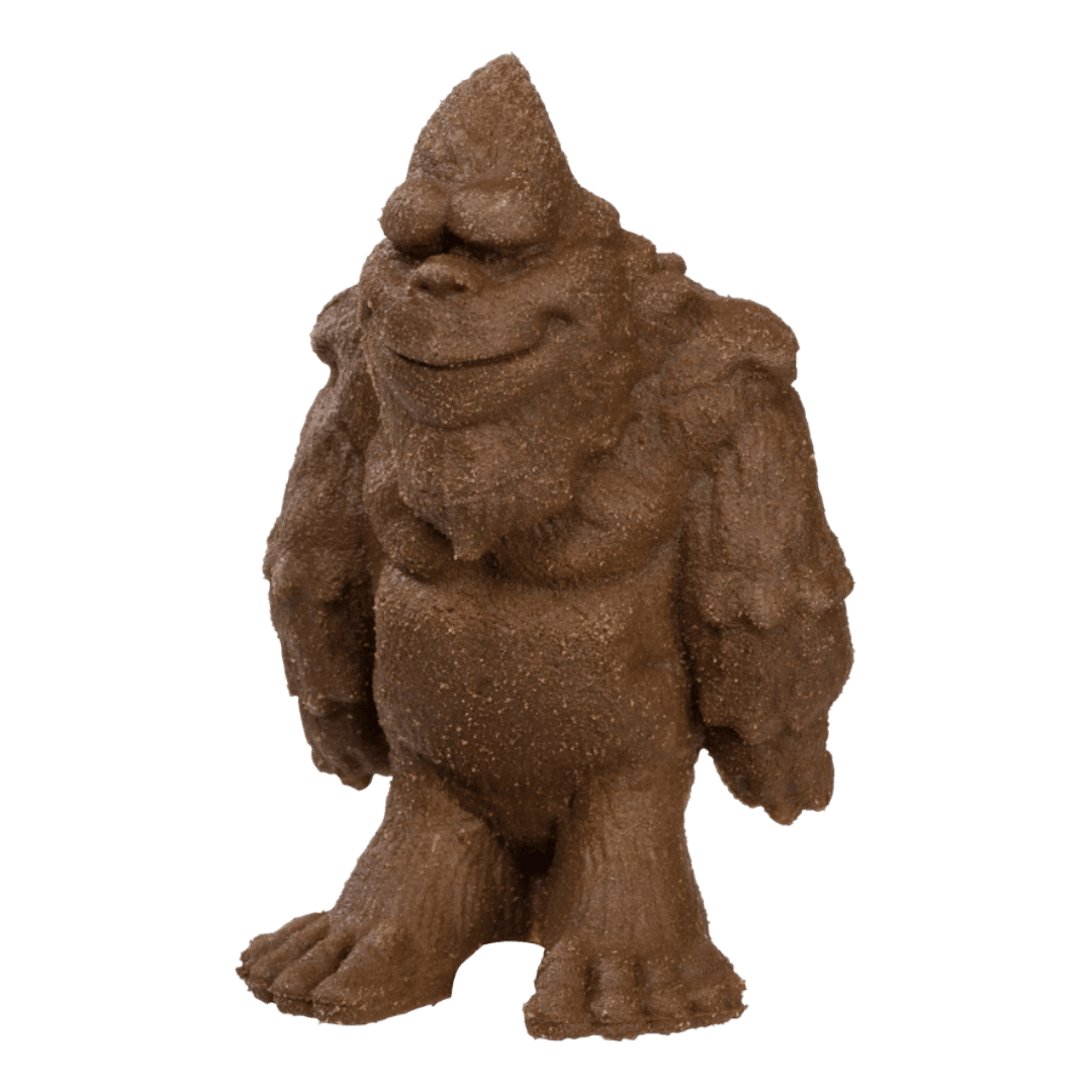 Grow Your Own Bigfoot – DIY Experiment Kit