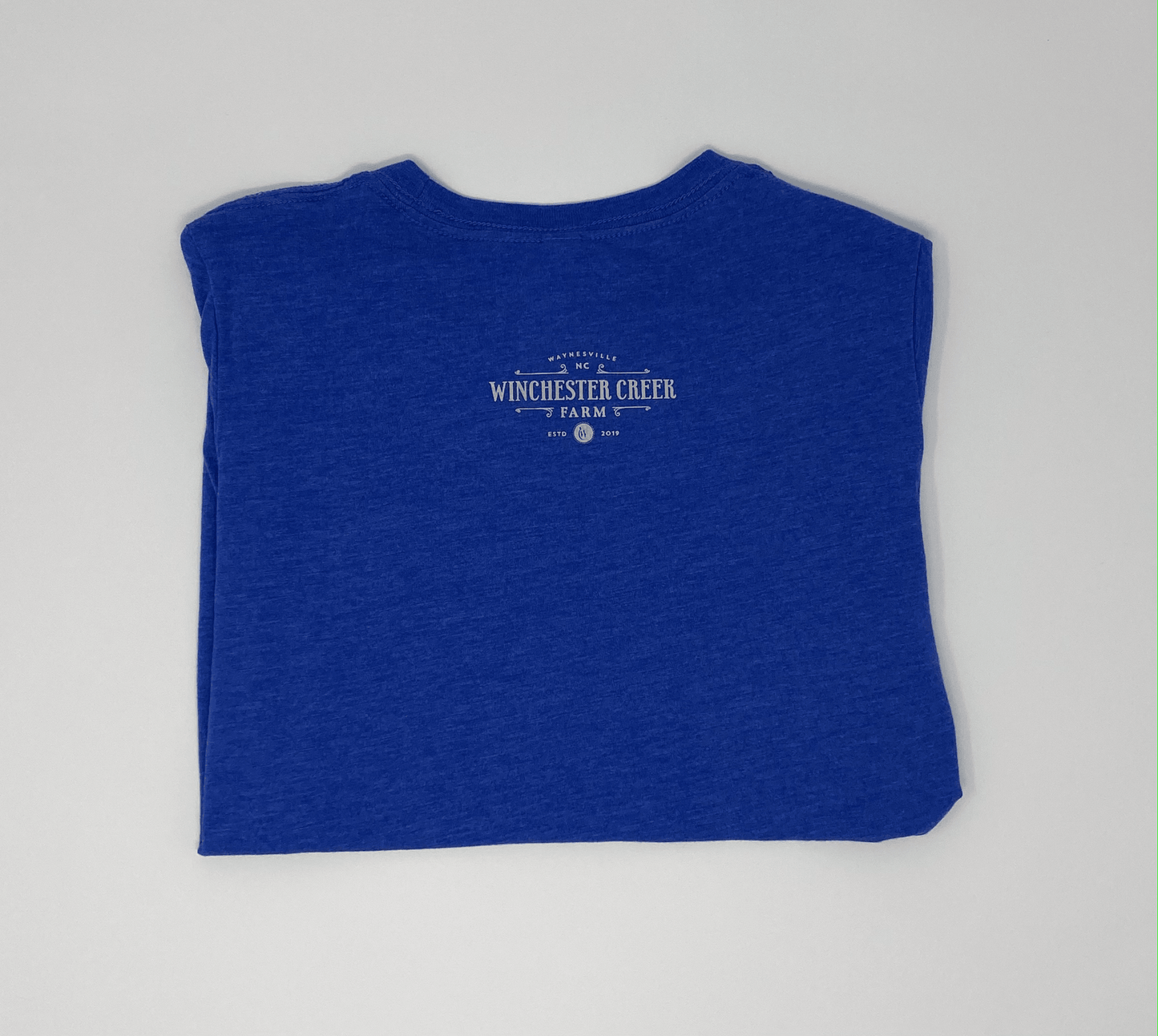Sam Tri Blend T-Shirt - Teal