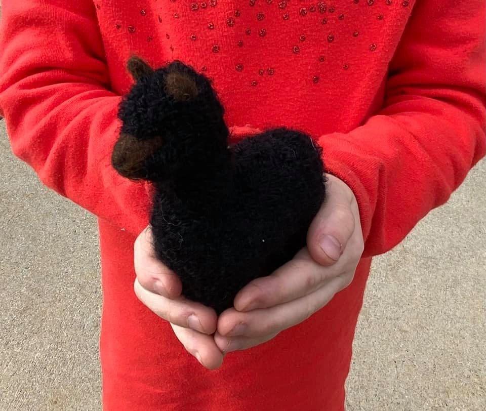 Felted 6” 100% Baby Alpaca