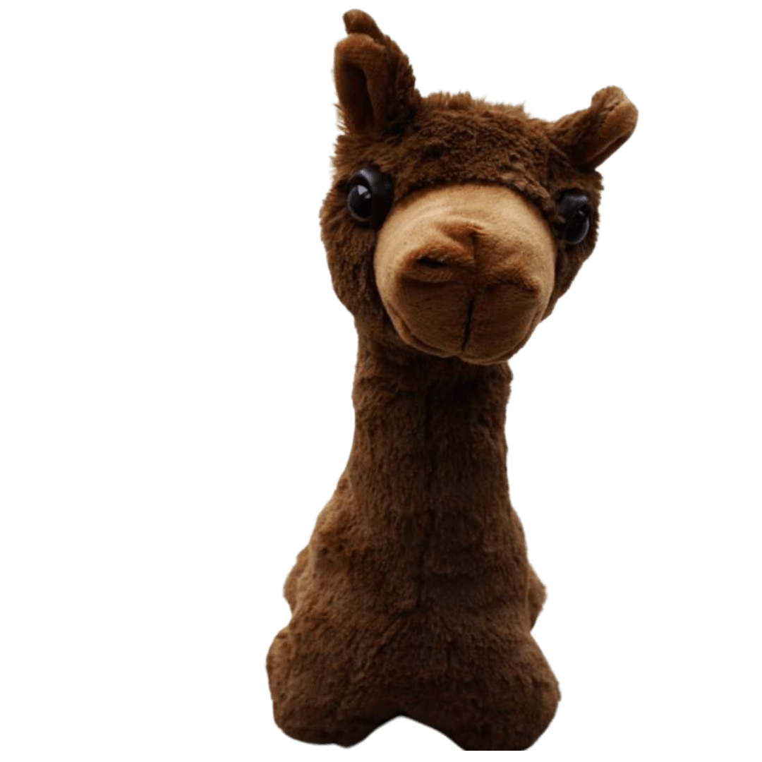 Paca Buddies