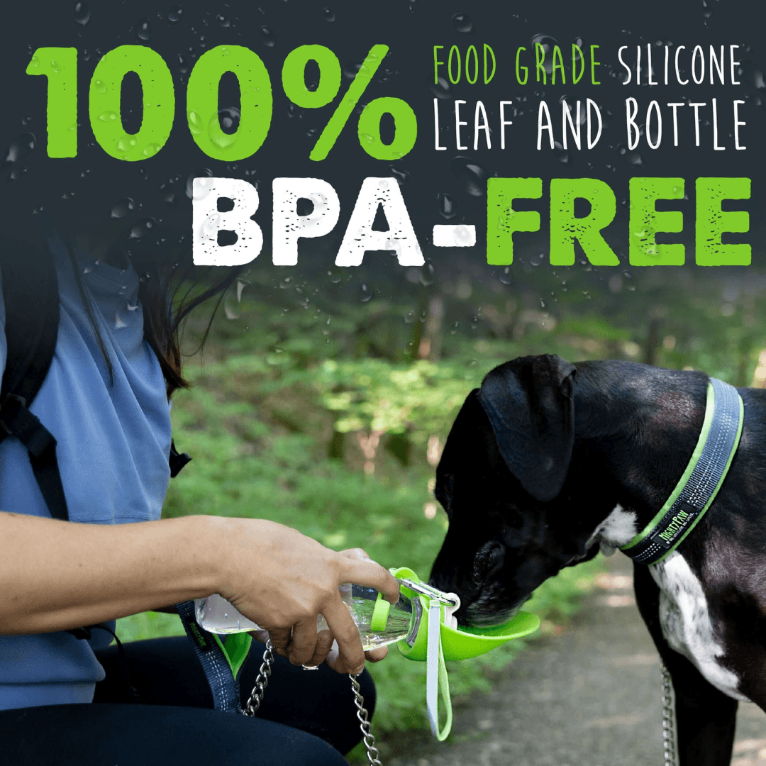 Graphic of dog drinking out of travel water bottle-Winchester Creek Farm