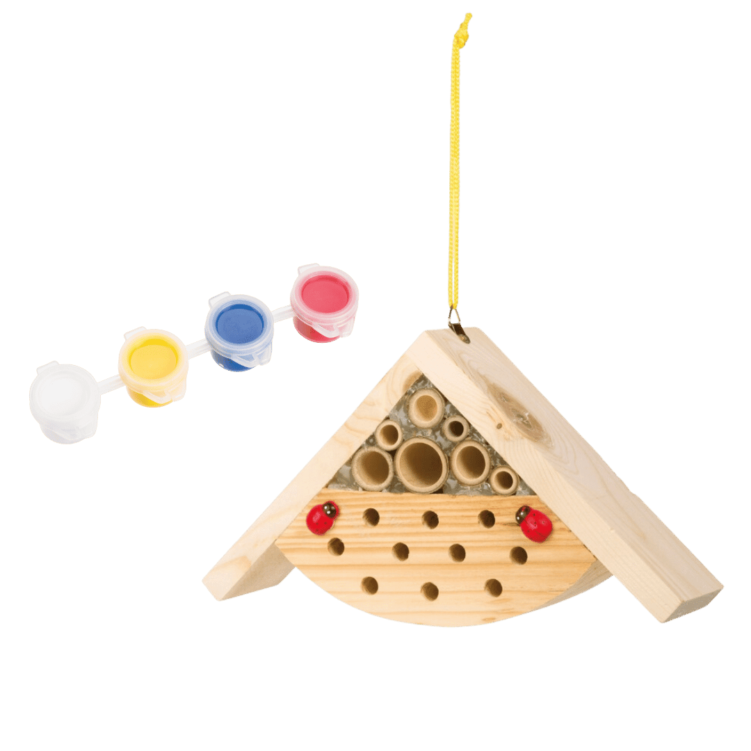 Beetle & Bee Paint-A-Bug Abode Kit