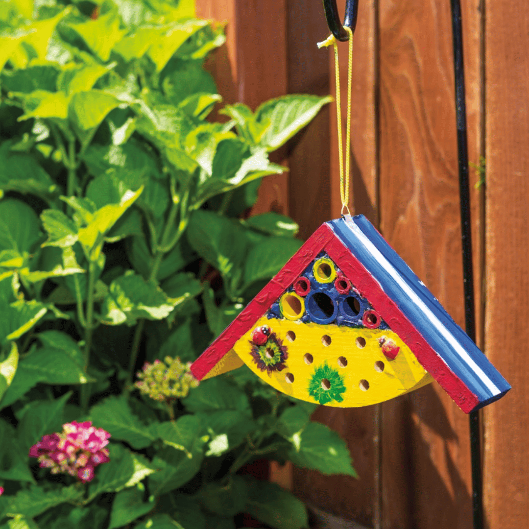Beetle & Bee Paint-A-Bug Abode Kit