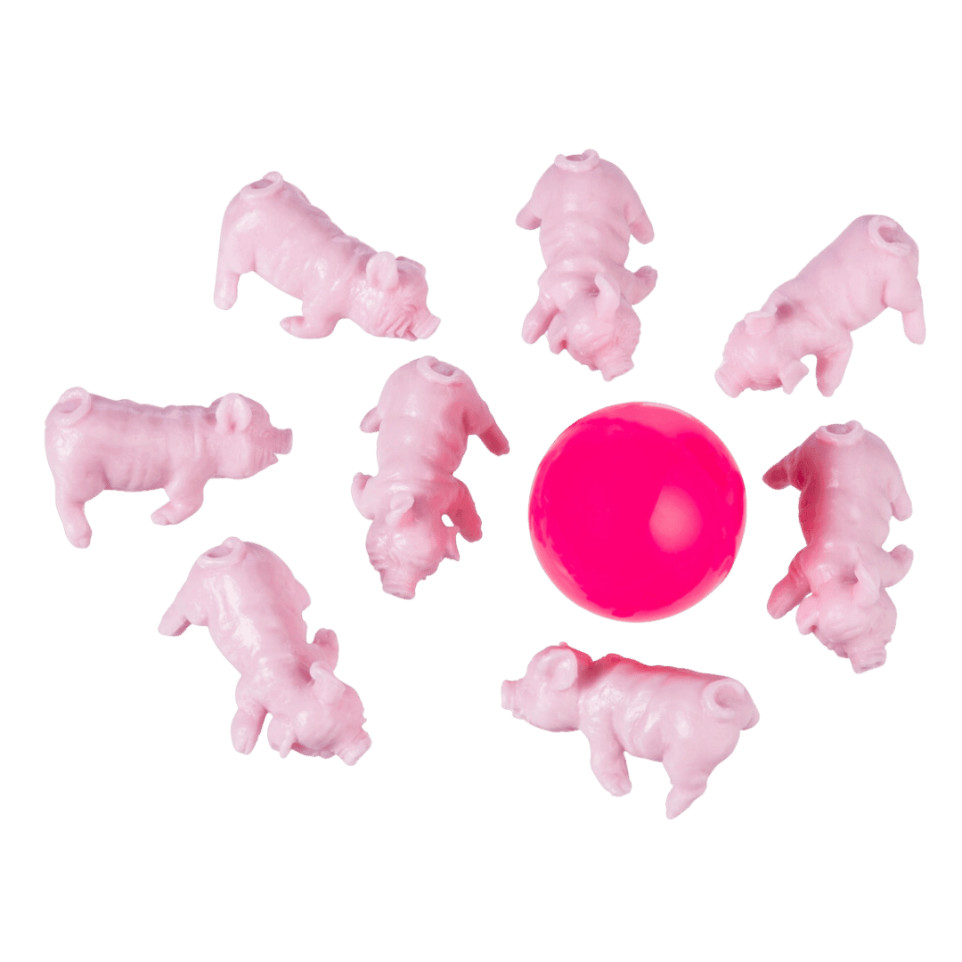Pig Jax