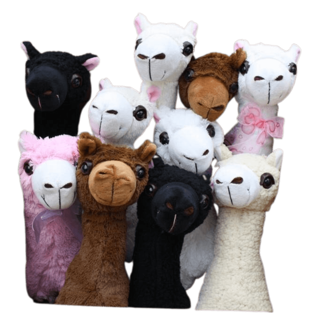 Paca Buddies