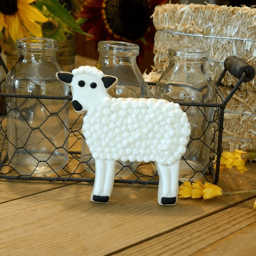 Decorated and iced sheep shaped cookie-Winchester Creek Farm
