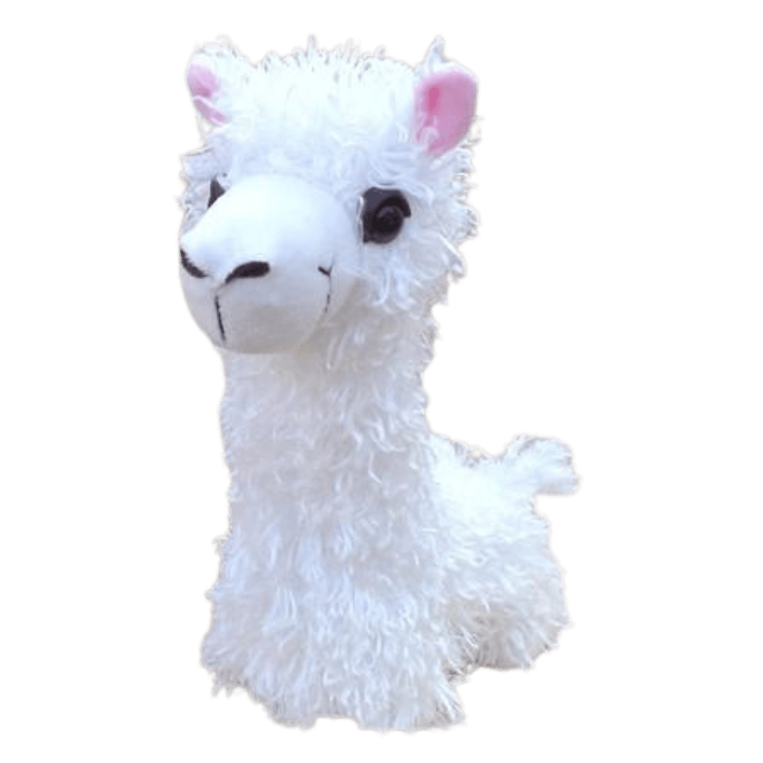 Paca Buddies