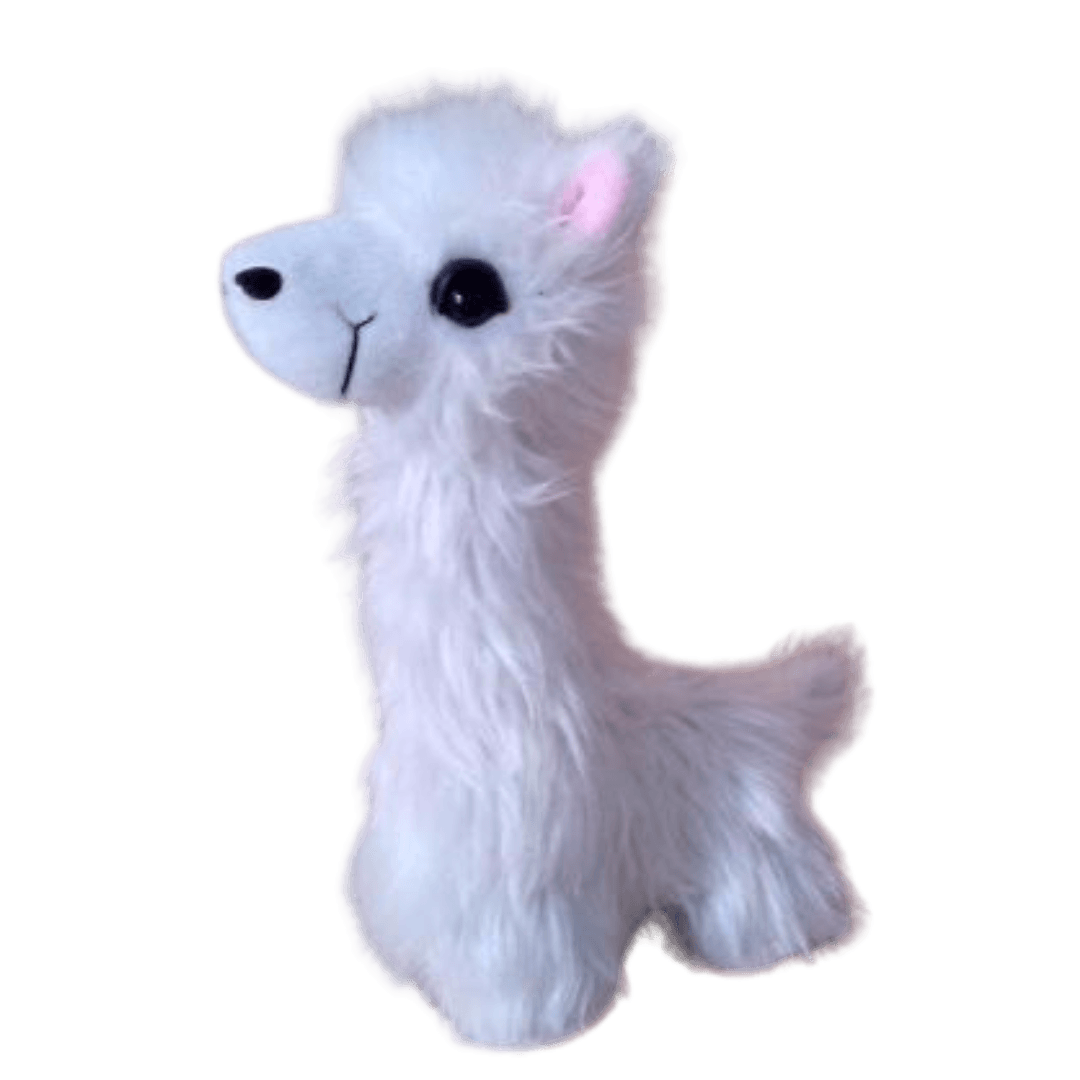 Paca Buddies