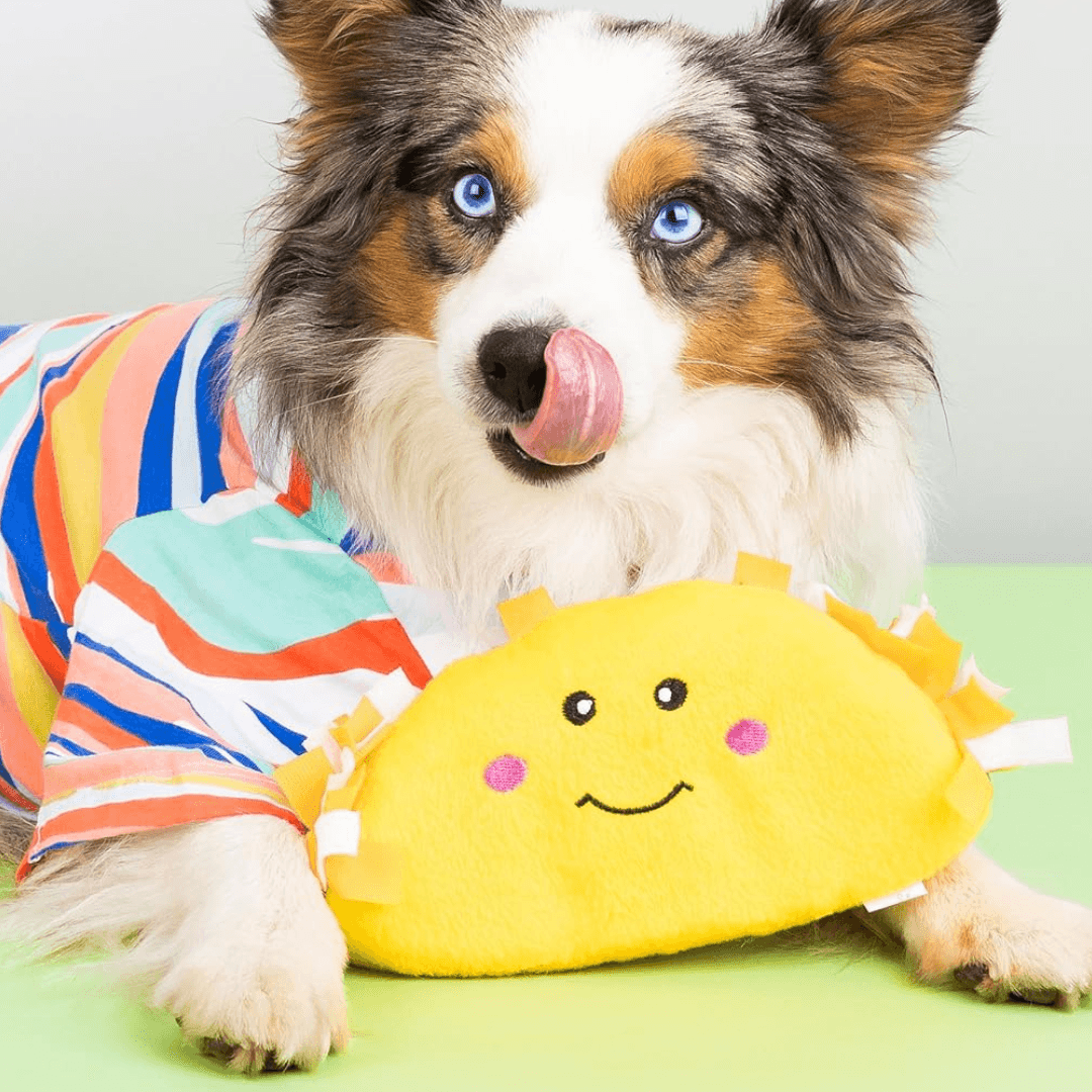 Dog holding taco shaped plush dog toy-Winchester Creek Farm