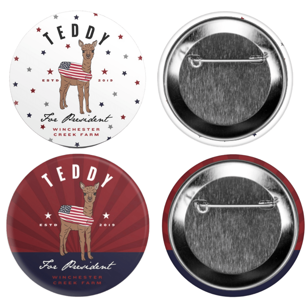 Teddy For President Campaign Button Pin