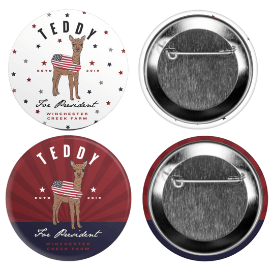 Teddy For President Campaign Button Pin