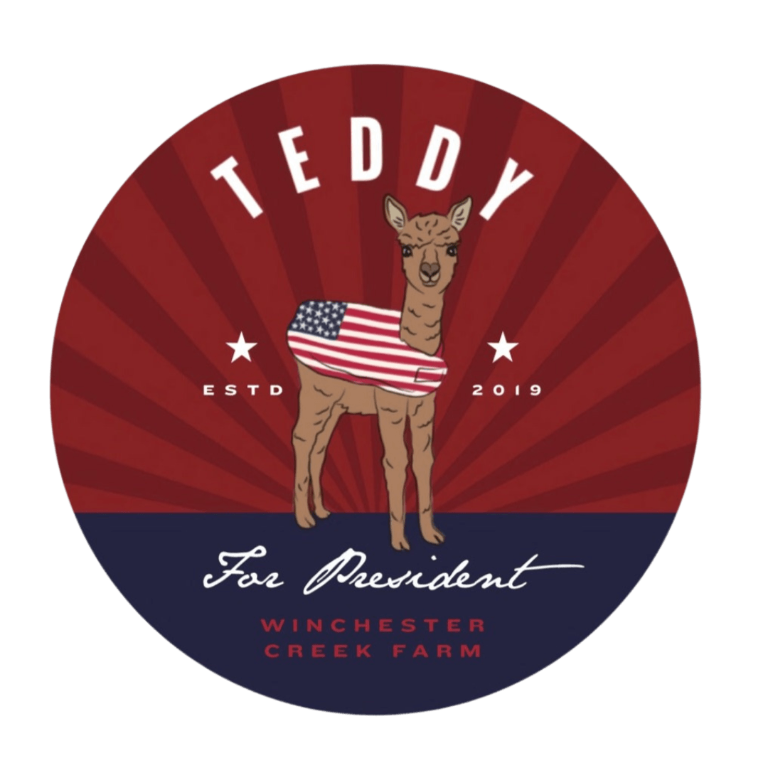 Teddy For President
