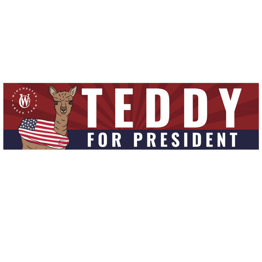 Teddy For President