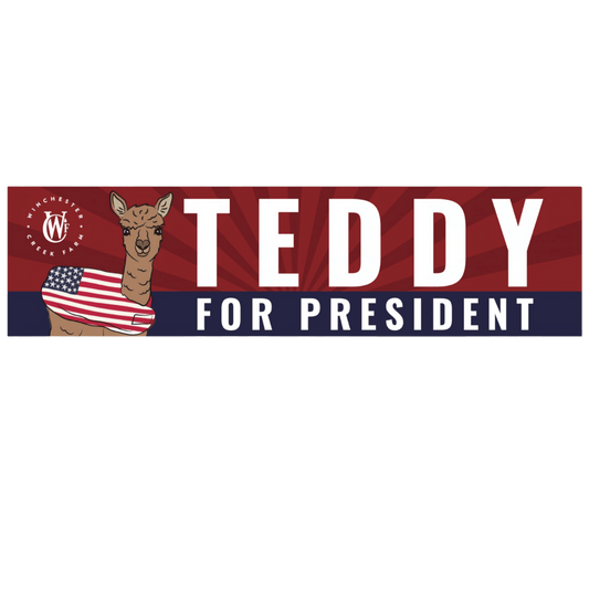 Teddy For President