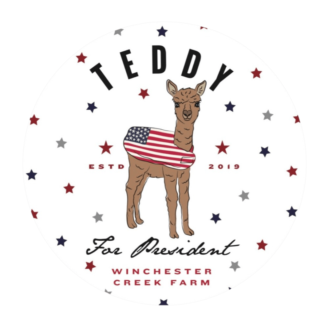 Teddy For President