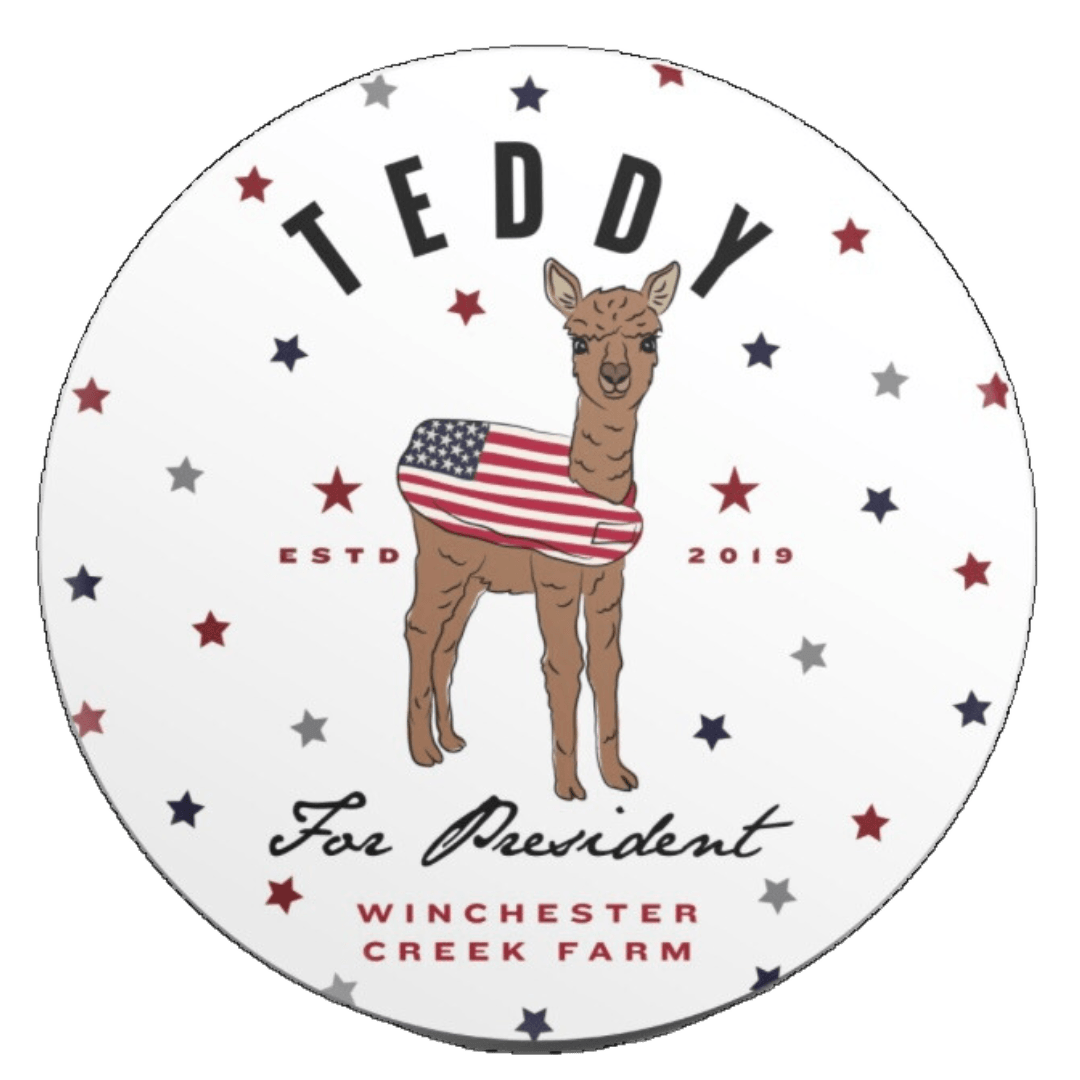 Teddy For President Campaign Button Pin