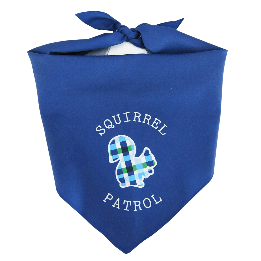 Blue Bandana with Plaid Squirrel- Large