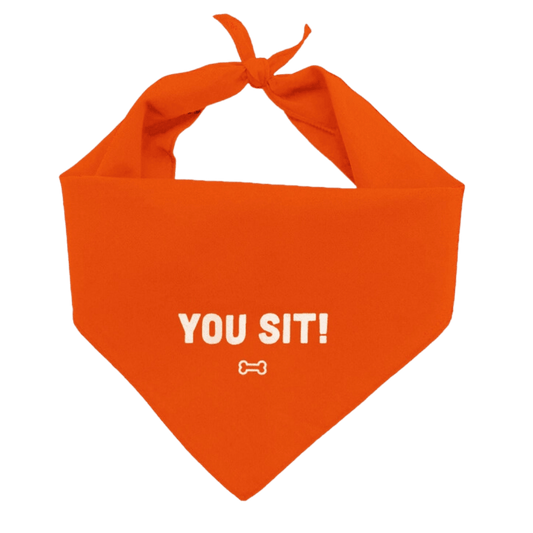 Sassy Pet Bandana - "You Sit" Large