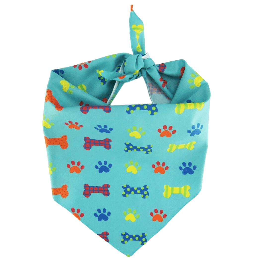 Party Bones Pet Bandana - Large