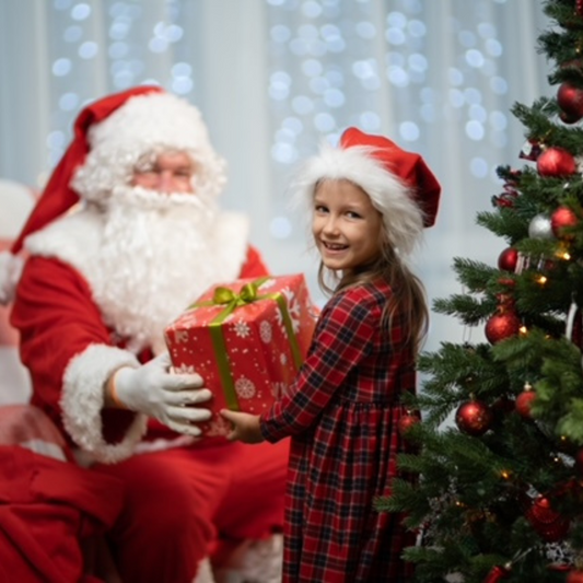 Donate a Santa Holiday Tour Ticket for a Child