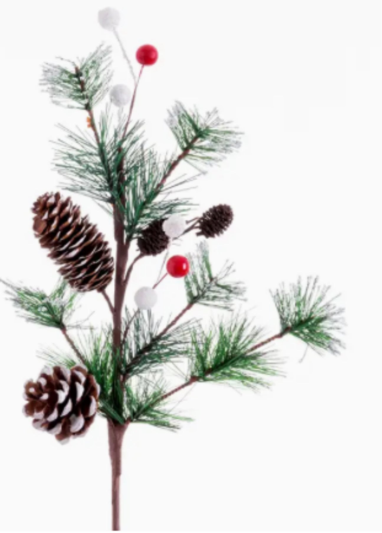 Pine Branch with Pinecones and Snow Greenery