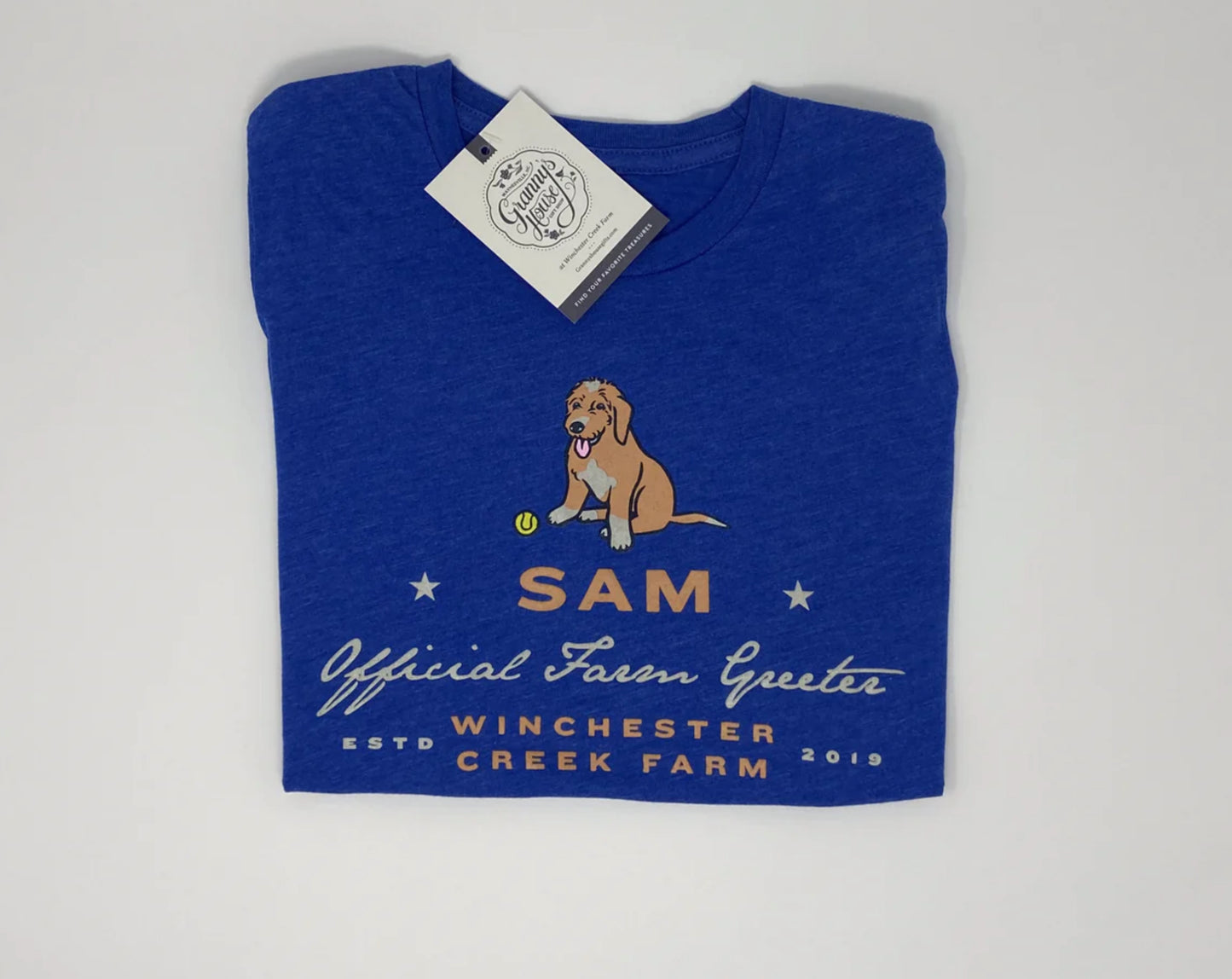 Sam Branded T-Shirt Teal