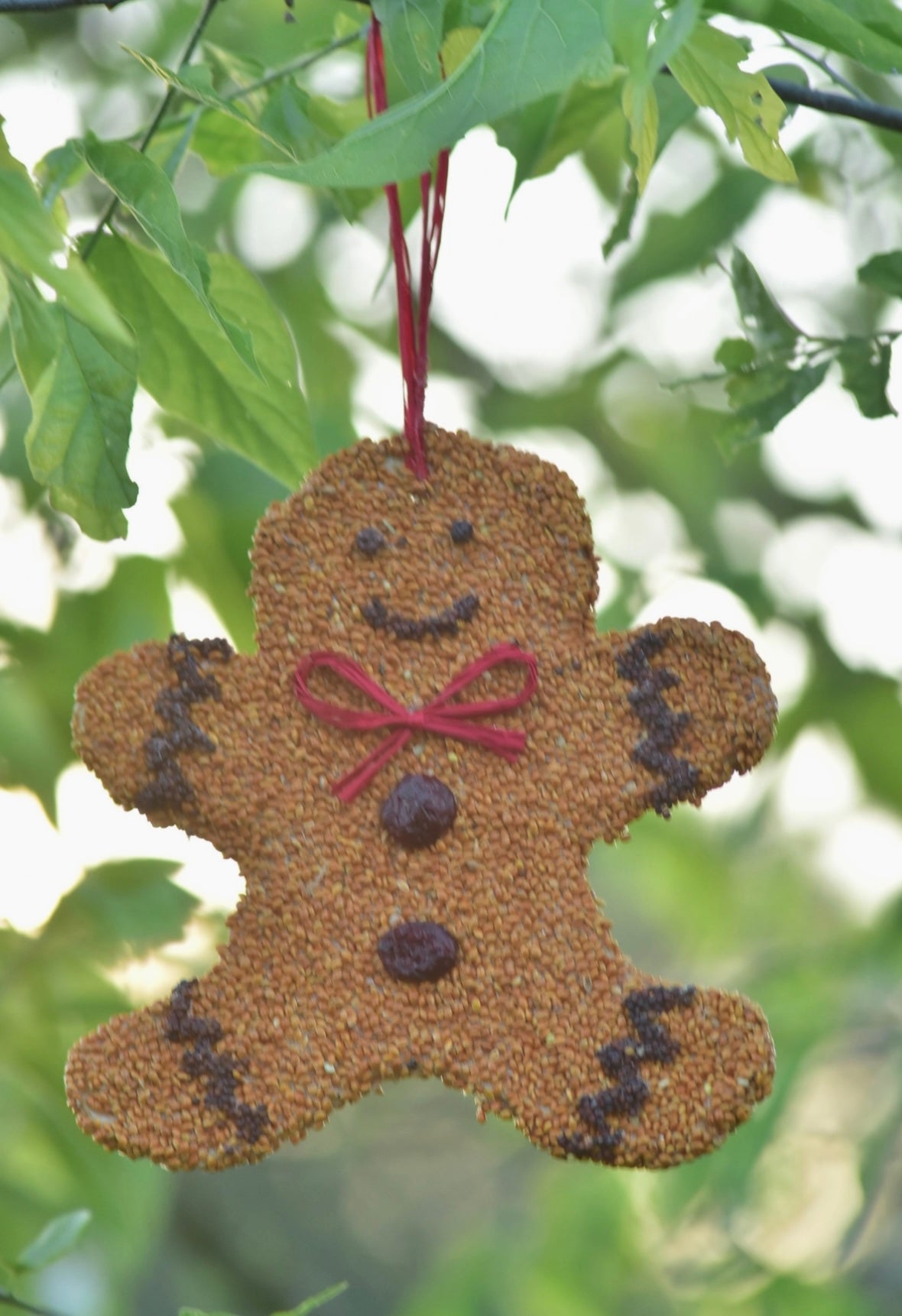 Bird Seed Gingerbread Cookie Treat For Birds
