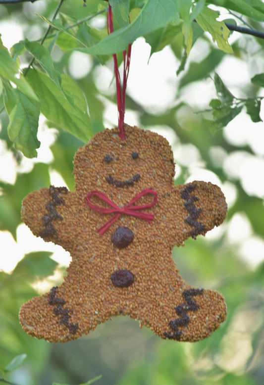 Bird Seed Gingerbread Cookie Treat For Birds