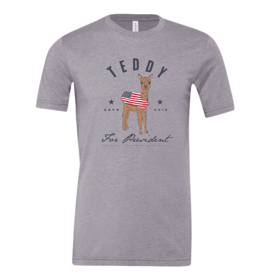 Teddy For President T-shirt