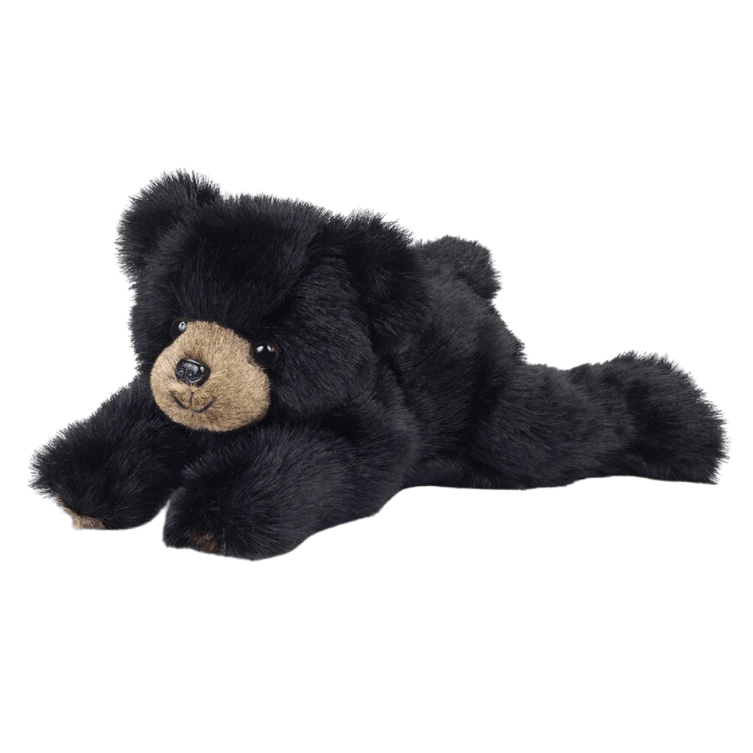 Baby Rocky The Black Plush Bear