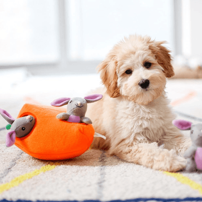 Dog laying next to plush Easter themed dog toy-Winchester Creek Farm