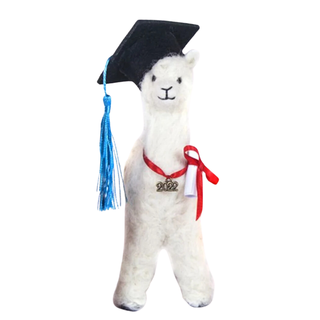 Graduation Felted Alpaca with Cap