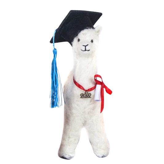 Graduation Felted Alpaca with Cap