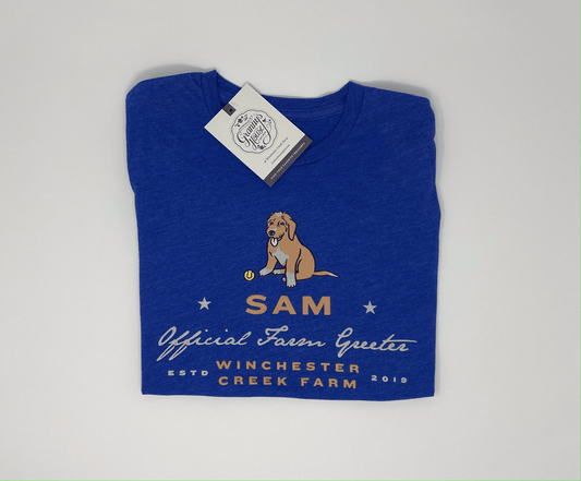 Sam Tri Blend T-Shirt - Teal