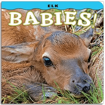 Elk Babies Book