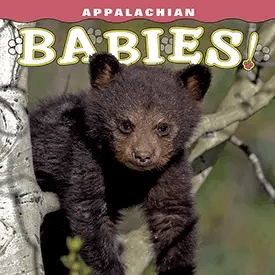 Appalachian Babies Book