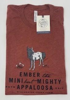 Ember Clay Tri Blend T-Shirt- Adult