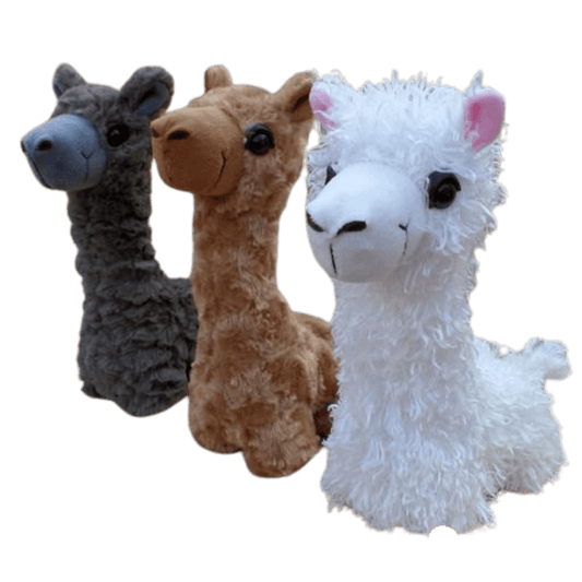 Paca Buddies