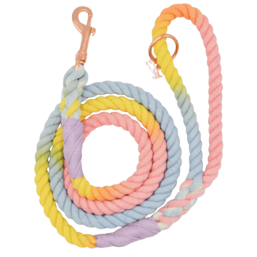 Rainbow rope dog leash- Winchester Creek Farm