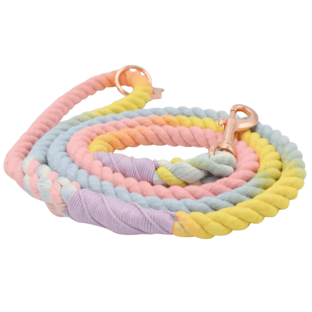 Rainbow rope dog leash- Winchester Creek Farm