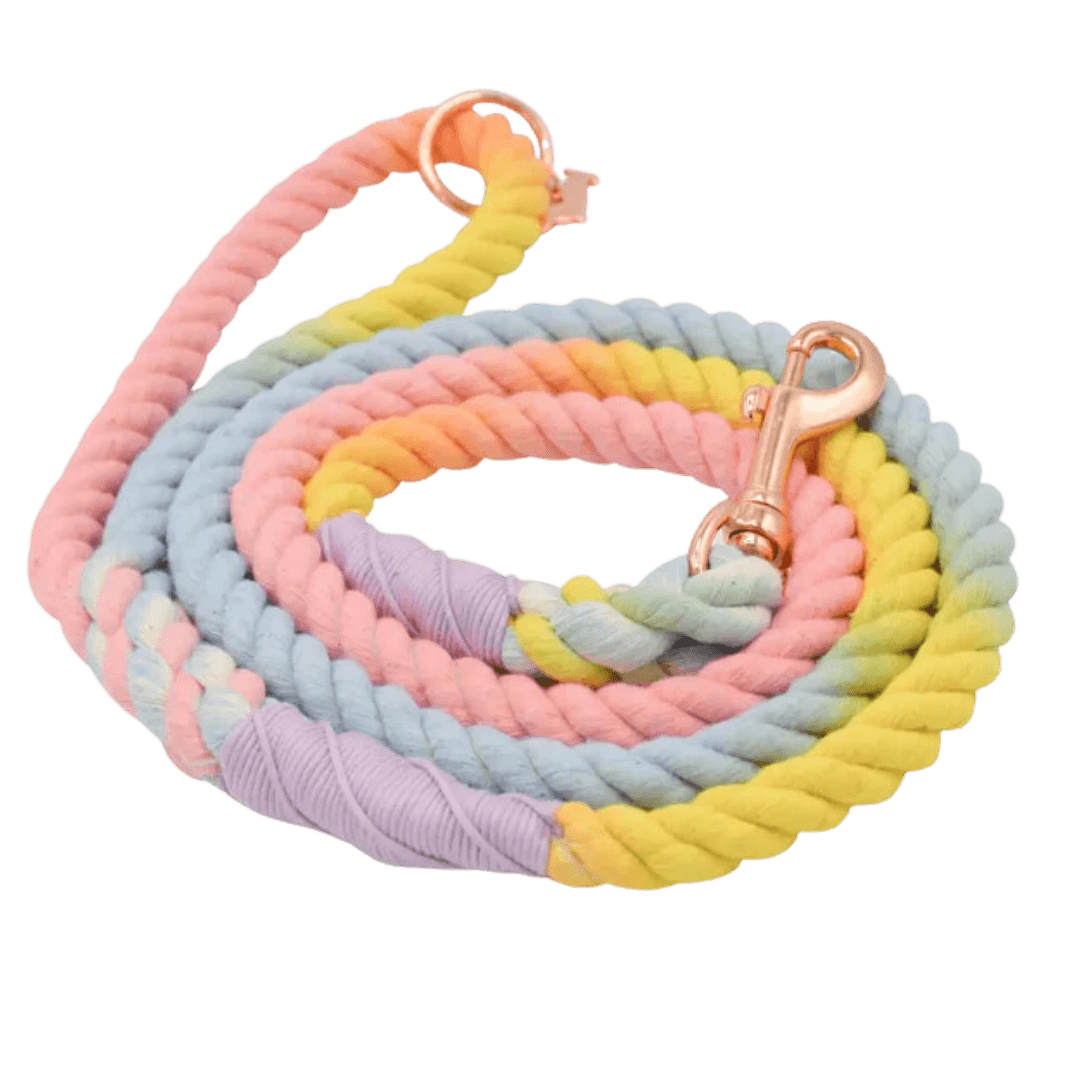 Rainbow rope dog leash- Winchester Creek Farm