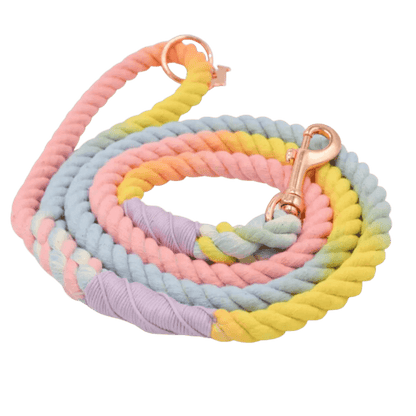 Rainbow rope dog leash- Winchester Creek Farm