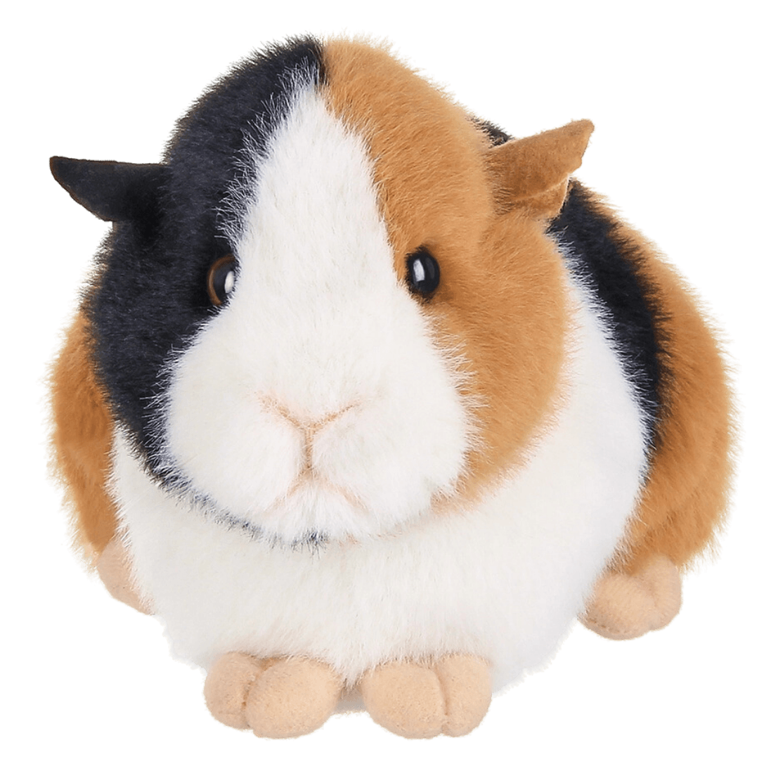 Scooter The Plush Guinea Pig - Winchester Creek Farm